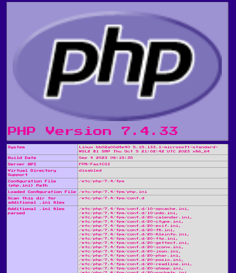 phpinfo() execution result